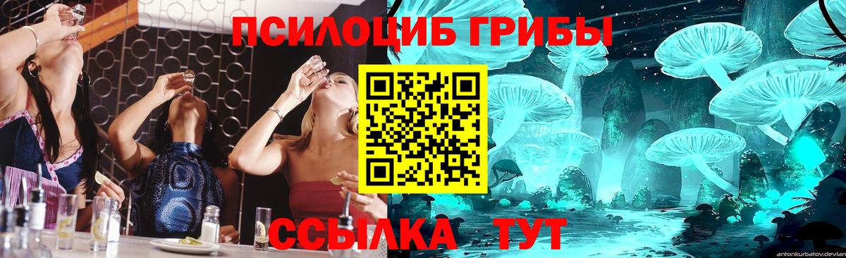 Галлюциногенные грибы Magic Shrooms  что такое   Когалым  Вход с VPN 